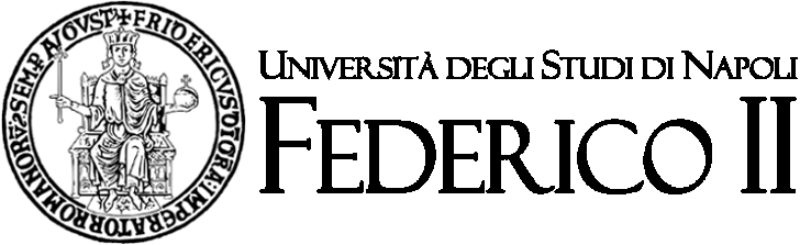 Università degli Studi di Napoli